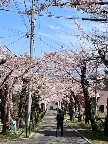 住三吉神社の自然