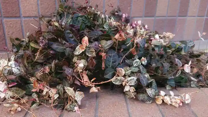 神明社(国府宮神明社)の自然