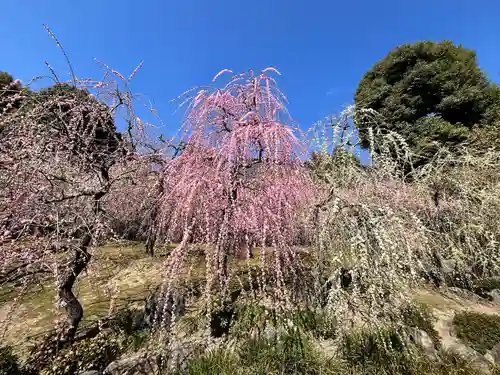 城南宮(京都府)