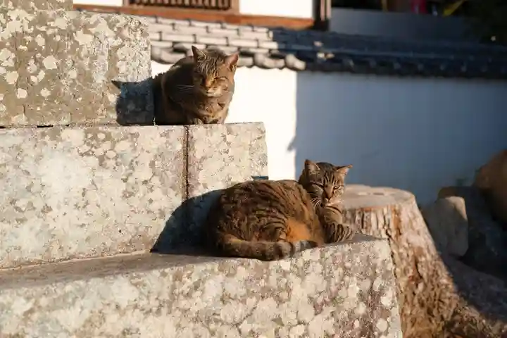 石手寺(愛媛県)