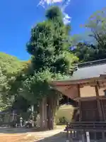 三島神社(愛媛県)