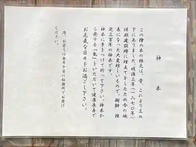 琴平神社(埼玉県)