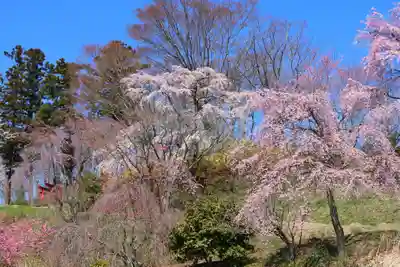 高屋敷稲荷神社の景色