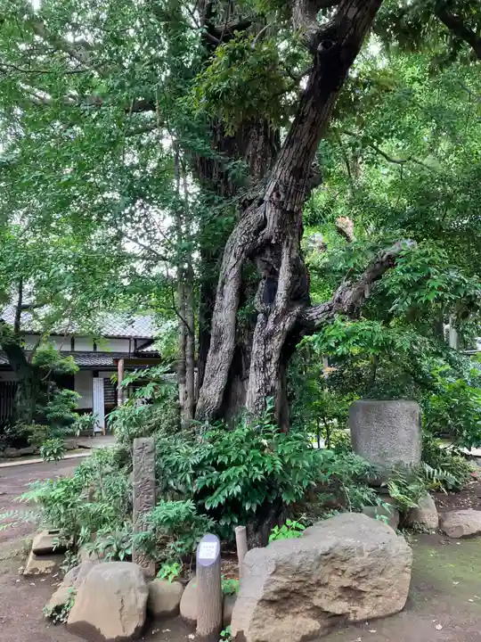 奥澤神社(東京都)