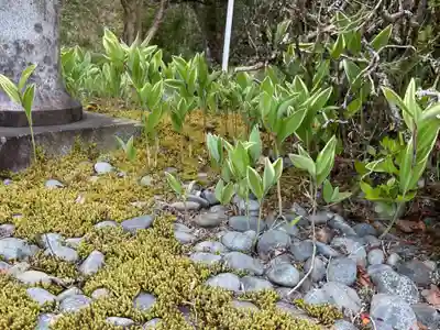 吉祥寺(岐阜県)