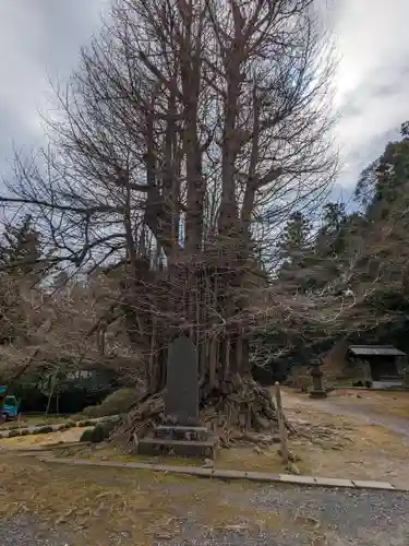 正法寺(埼玉県)