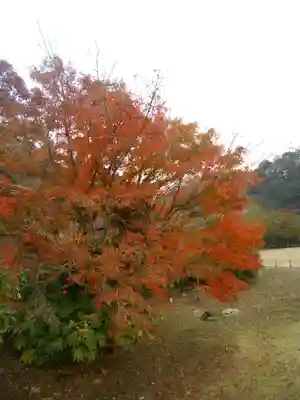 永福寺跡（永福寺址）の自然