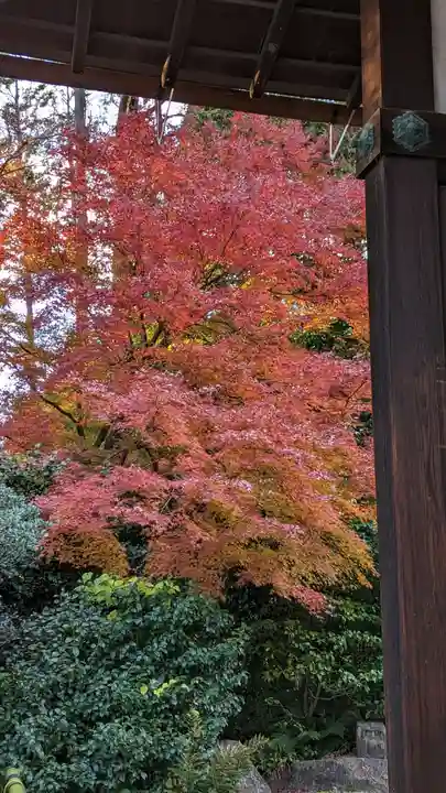大光明寺(京都府)