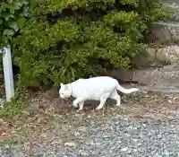 神咒寺(兵庫県)