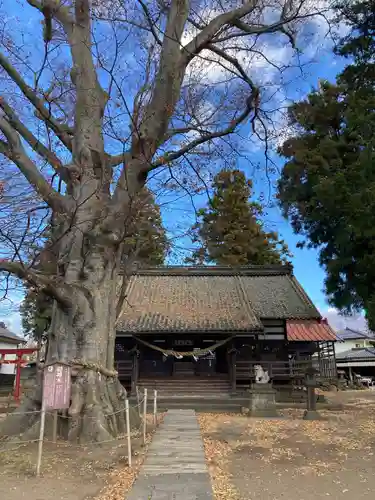 白鳥神社の本殿