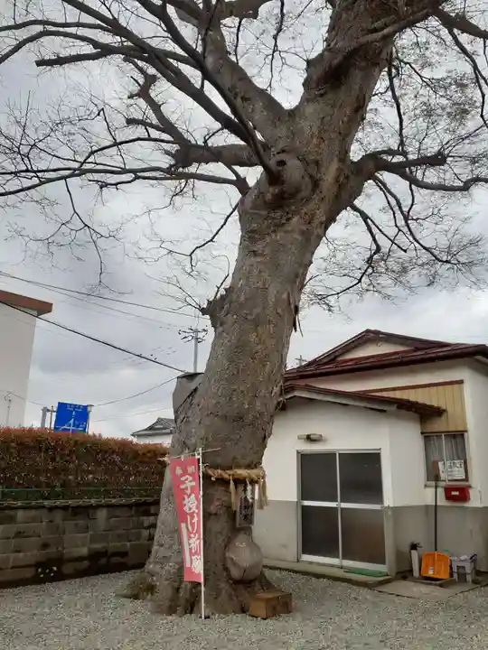 須賀神社の自然