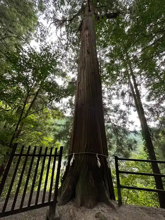 金持神社(鳥取県)