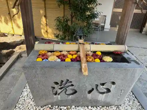 蛇窪神社の{uncategorized: "未分類", other: "その他", undefined: "問題あり", building: "その他建物", grave: "お墓", sacred_gate: "鳥居", guardian: "狛犬", statue: "像", buddha: "仏像", history: "歴史", nature: "自然", garden: "庭園", animal: "動物", pagoda: "塔", temizu: "手水舎", mountain_gate: "山門・神門", sanctuary: "本殿・本堂", subordinate: "末社・摂社", art: "芸術", scenery: "景色", jizo: "地蔵", ema: "絵馬", goshuin: "御朱印", omikuji: "おみくじ", items: "授与品その他", amulet: "お守り", goshuincho: "御朱印帳", eats: "食事", festival: "お祭り", votive_dance: "神楽", shichigosan: "七五三参", wedding: "結婚式", experience: "体験その他", initially: "初詣", around: "周辺", anti_infection: "感染症対策"}