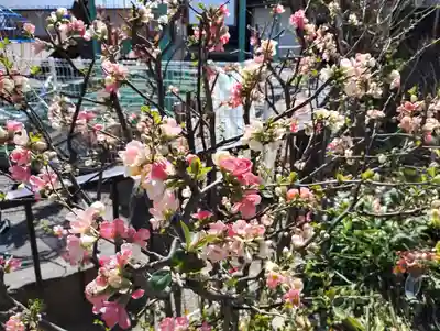 大蔵院(群馬県)