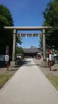 浅草神社の鳥居