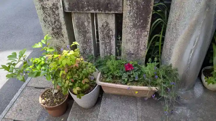 出雲大社長崎分院の庭園