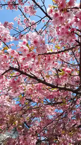 三嶋大社(静岡県)