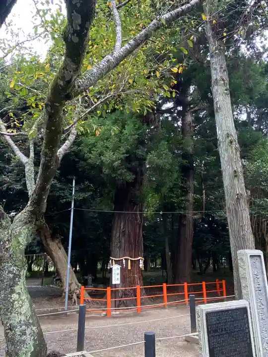 息栖神社のその他建物