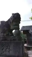 荻窪神社の狛犬