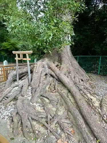 和泉國一之宮　大鳥大社(大阪府)
