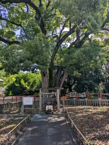 冠纓神社(香川県)