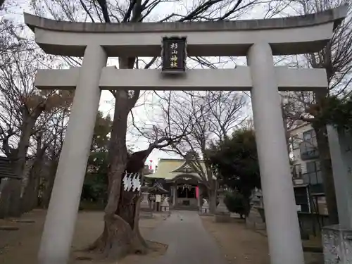 戸部杉山神社の鳥居