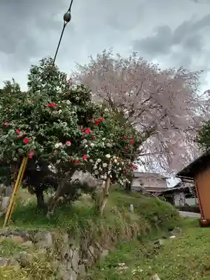 日吉神社(京都府)
