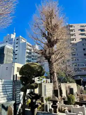 常楽寺の{uncategorized: "未分類", other: "その他", undefined: "問題あり", building: "その他建物", grave: "お墓", sacred_gate: "鳥居", guardian: "狛犬", statue: "像", buddha: "仏像", history: "歴史", nature: "自然", garden: "庭園", animal: "動物", pagoda: "塔", temizu: "手水舎", mountain_gate: "山門・神門", sanctuary: "本殿・本堂", subordinate: "末社・摂社", art: "芸術", scenery: "景色", jizo: "地蔵", ema: "絵馬", goshuin: "御朱印", omikuji: "おみくじ", items: "授与品その他", amulet: "お守り", goshuincho: "御朱印帳", eats: "食事", festival: "お祭り", votive_dance: "神楽", shichigosan: "七五三参", wedding: "結婚式", experience: "体験その他", initially: "初詣", around: "周辺", anti_infection: "感染症対策"}