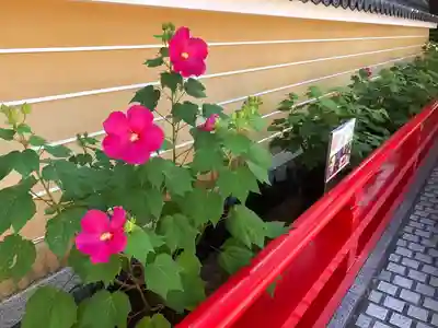 中山寺(兵庫県)