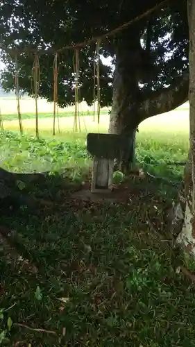 裏つくば、恋瀬川沿いの神社(茨城県)