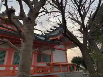 子安神社の本殿・本堂