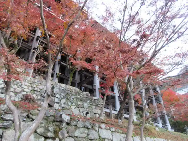 清水寺(京都府)