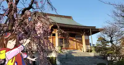 南蔵院の本殿・本堂