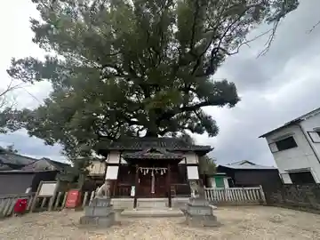 八幡神社(奈良県)