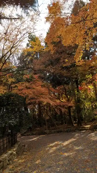 龍安寺(京都府)