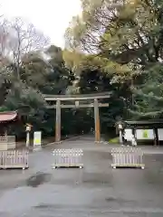 明治神宮の鳥居