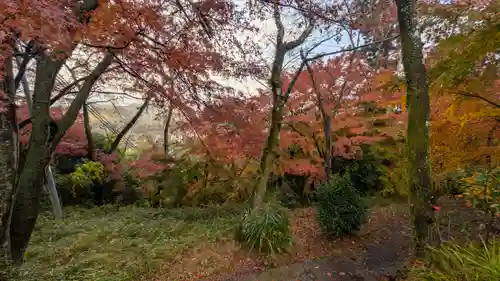 若山神社(大阪府)