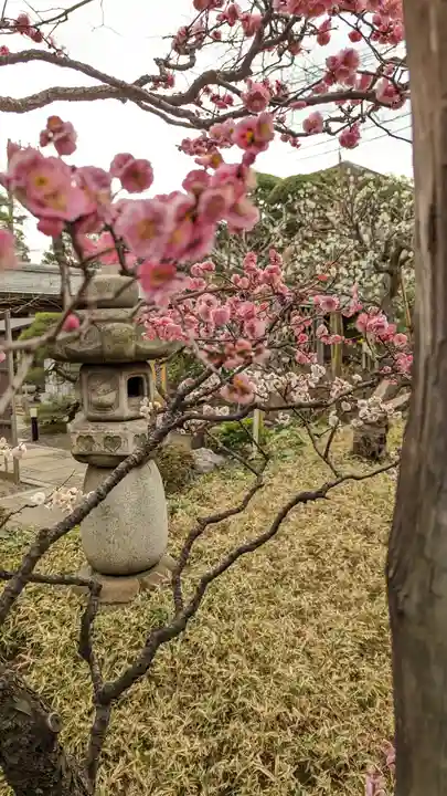 実相寺(東京都)