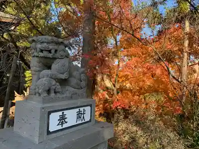 出雲大社会津分霊社の狛犬