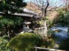 浄妙寺の庭園