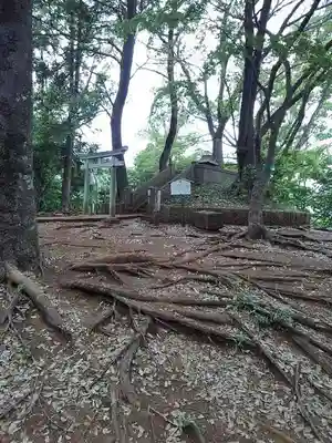 浅間山の本殿・本堂