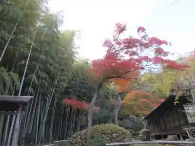 英勝寺の庭園