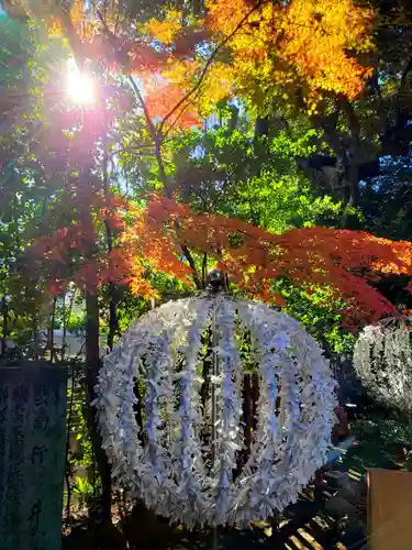 乃木神社のおみくじ