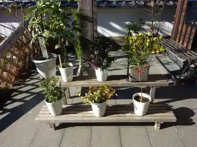 妙蓮寺(神奈川県)