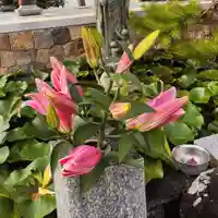 真言宗 善通寺派 薬王寺(香川県)