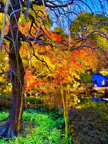 長谷寺(神奈川県)