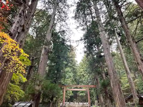 仁科神明宮の鳥居