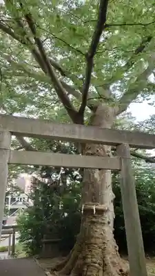愛宕神社(福島県)