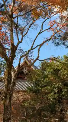 仁和寺(京都府)