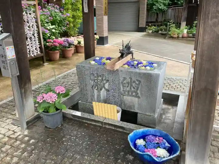 川越八幡宮(埼玉県)